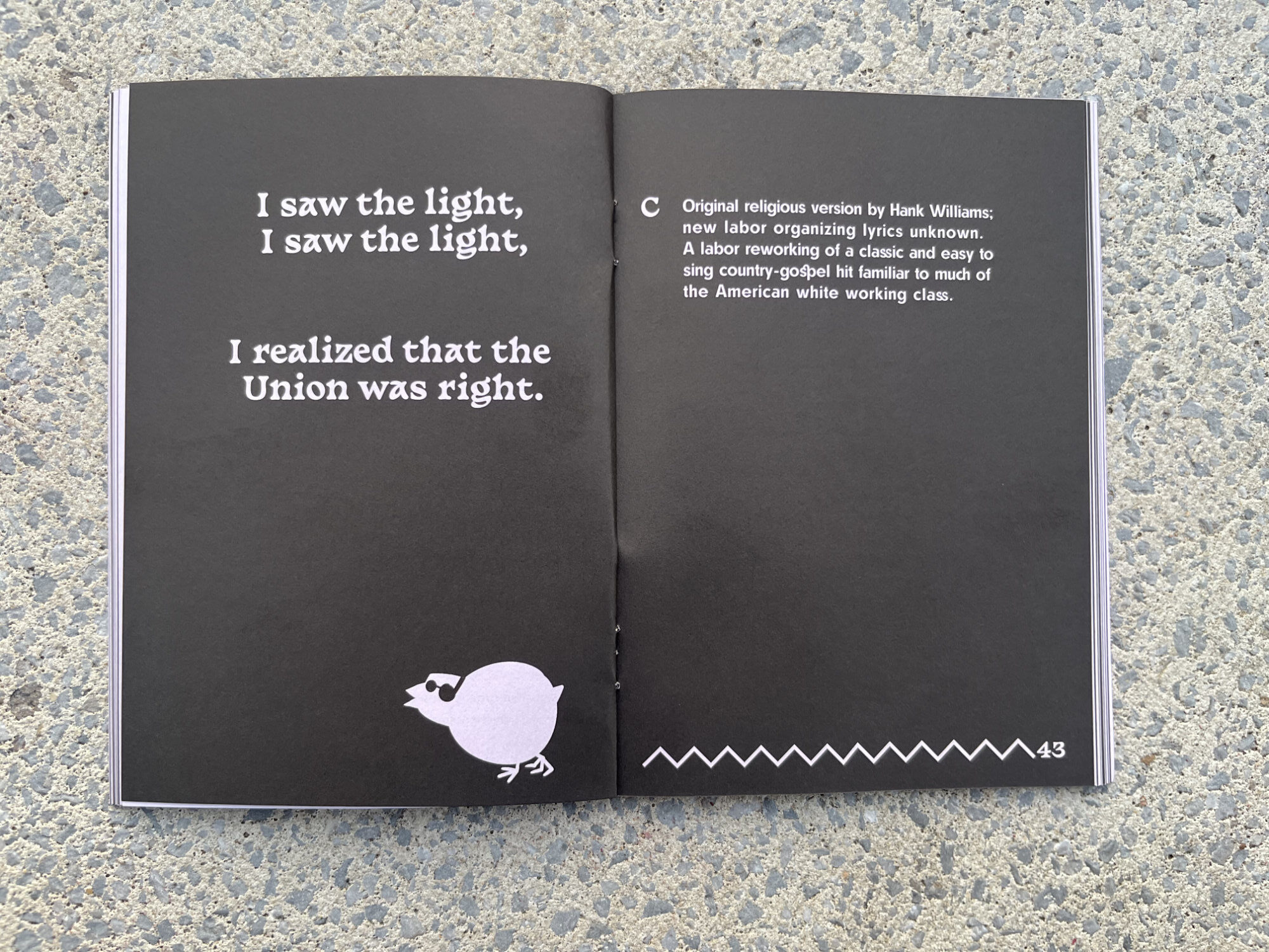 a lilac song book with tiny bird illustrations